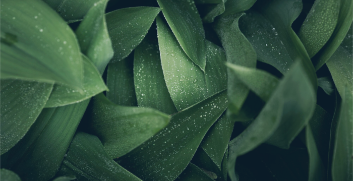 freepik__adjust__50953